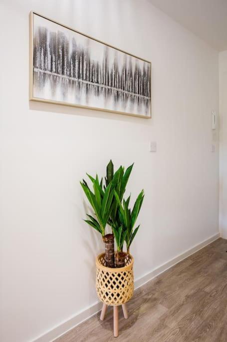 Waterside 2 Bed Apartment Taunton & Free Off Road Parking & Wifi 외부 사진